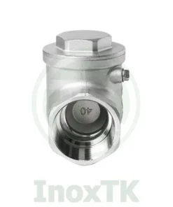 Van một chiều lá lật inox nối ren