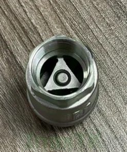 Van một chiều lò xo inox nối ren