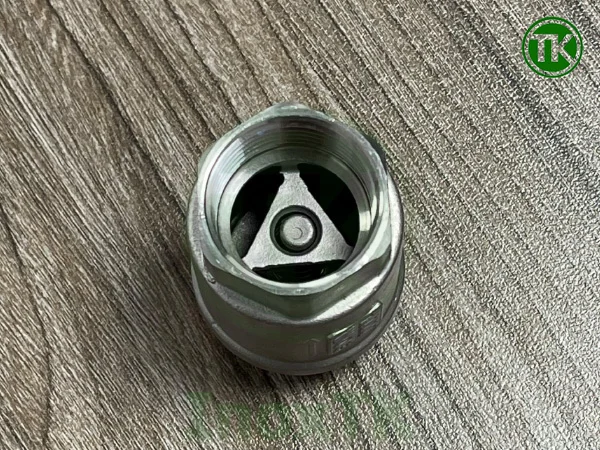 Van một chiều lò xo inox nối ren