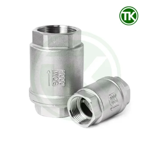 Van một chiều lò xo inox nối ren