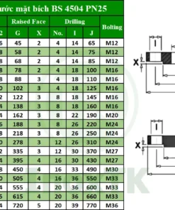 Bảng thông số mặt bích BS PN25