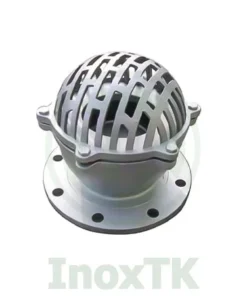 Rọ bơm inox mặt bích