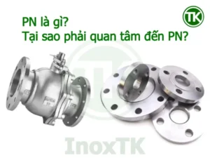 PN là gì?