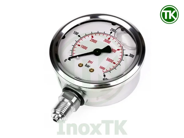 Đồng hồ áp suất nôi ren inox 304 có dầu giảm chấn