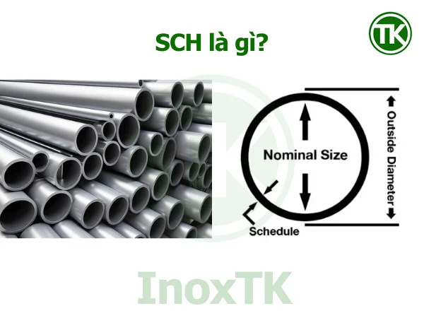 SCH là gì?