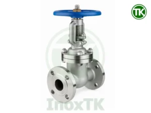 Van cổng mặt bích inox