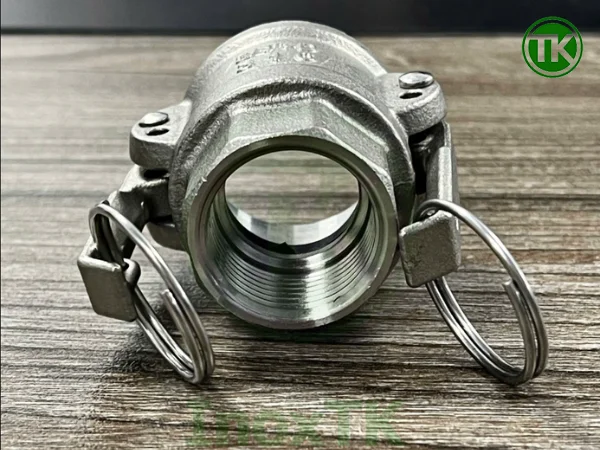 Khớp nối nhanh inox type D