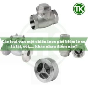 Các loại van một chiều inox phổ biến: lò xo, lá lật, cối,… khác nhau điểm nào?