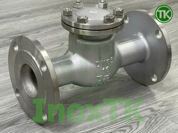 Ưu điểm của van một chiều inox so với van đồng, gang, thép
