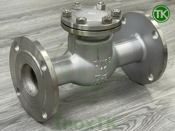 Những sai lầm thường gặp khi chọn kiểu kết nối van một chiều inox