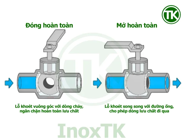 Van bi vi sinh hoạt động như thế nào?