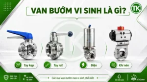 Van bướm vi sinh là gì?