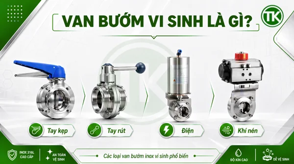 Van bướm vi sinh là gì?