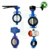 Van bướm thân gang cánh inox